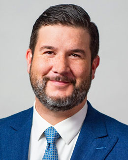 Scheibner