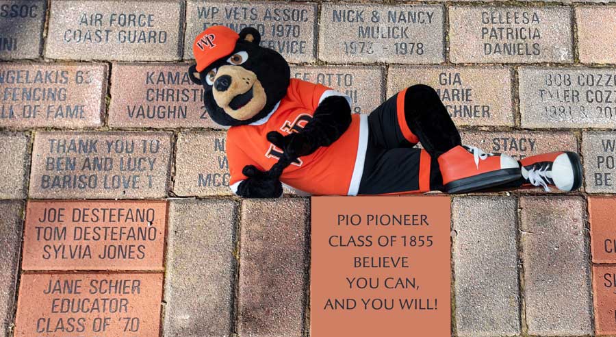Brick-pio.jpg