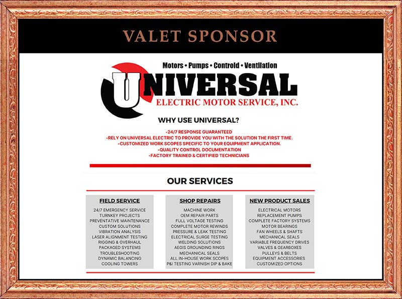 Bronze Sponsor