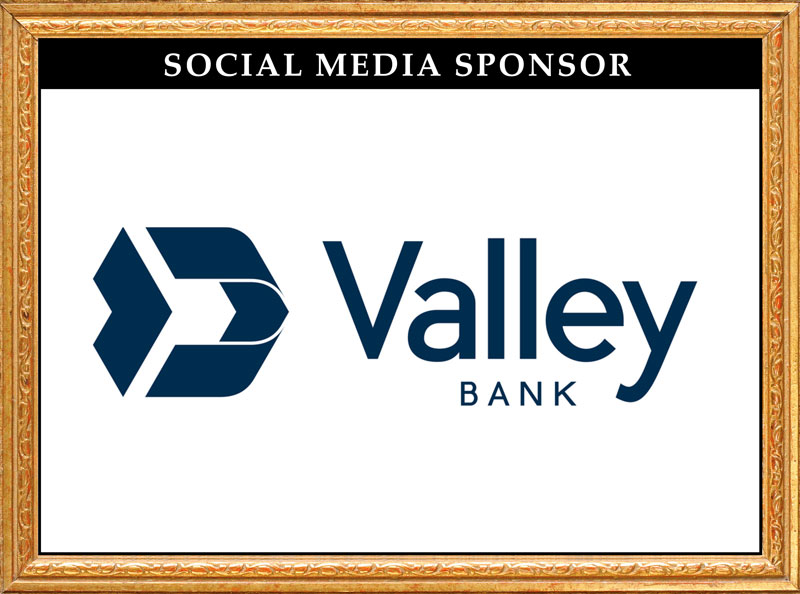 Gold Sponsor